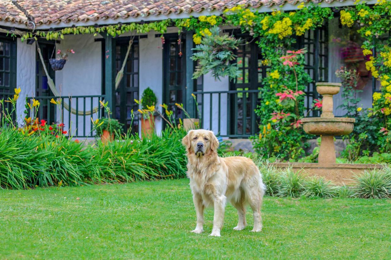 Casa San Nicolas Villa de Leyva Exterior foto